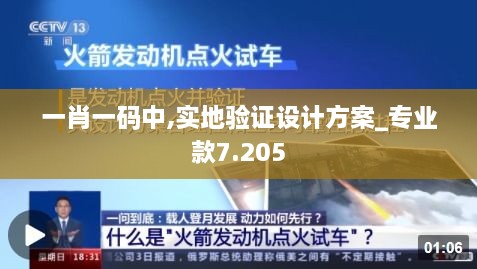 一肖一碼中,實(shí)地驗(yàn)證設(shè)計(jì)方案_專業(yè)款7.205