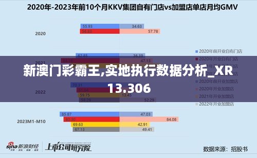 新澳門彩霸王,實(shí)地執(zhí)行數(shù)據(jù)分析_XR13.306
