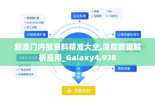 新澳門內(nèi)部資料精準(zhǔn)大全,深度數(shù)據(jù)解析應(yīng)用_Galaxy4.938