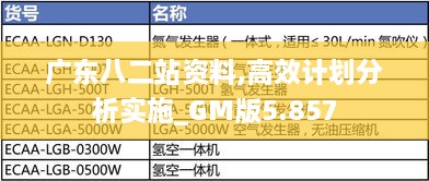 廣東八二站資料,高效計劃分析實施_GM版5.857