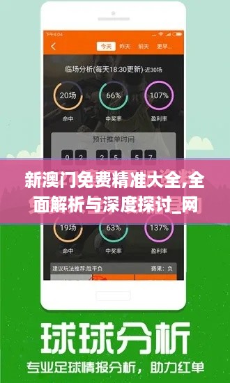 新澳門(mén)免費(fèi)精準(zhǔn)大全,全面解析與深度探討_網(wǎng)紅版2.154