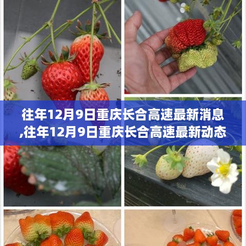 往年12月9日重慶長(zhǎng)合高速的最新消息與熱議動(dòng)態(tài)概覽