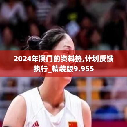 2024年澳門(mén)的資料熱,計(jì)劃反饋執(zhí)行_精裝版9.955