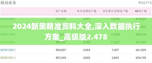 2024新奧精準(zhǔn)資料大全,深入數(shù)據(jù)執(zhí)行方案_高級版2.478