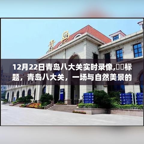 青島八大關(guān)12月22日實(shí)時(shí)探索，與自然美景的邂逅