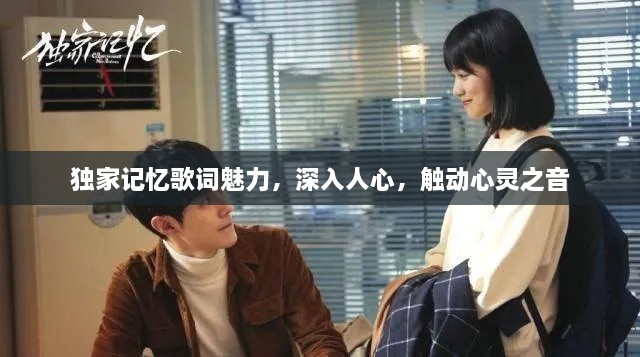 獨家記憶歌詞魅力，深入人心，觸動心靈之音