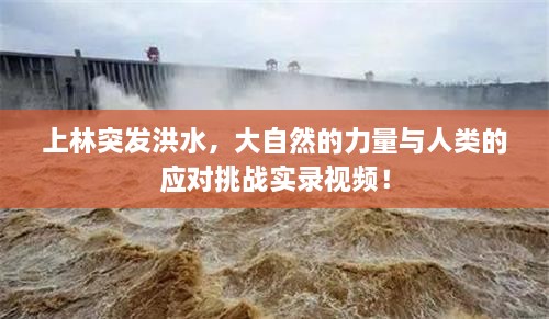 上林突發(fā)洪水，大自然的力量與人類的應對挑戰(zhàn)實錄視頻！