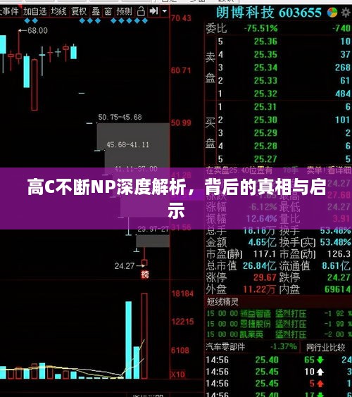 高C不斷NP深度解析，背后的真相與啟示