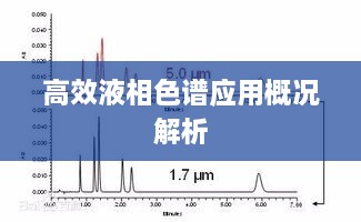 2025年1月1日 第13頁