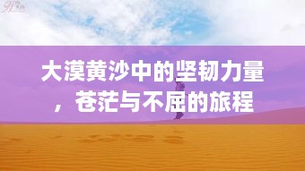 大漠黃沙中的堅韌力量，蒼茫與不屈的旅程