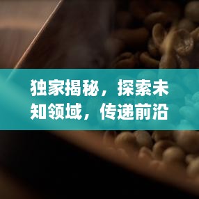 獨(dú)家揭秘，探索未知領(lǐng)域，傳遞前沿資訊快報(bào)
