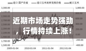 近期市場走勢強勁，行情持續(xù)上漲！