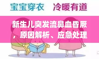 瞻云就日