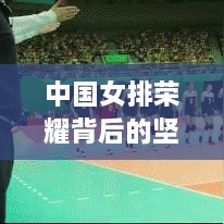 中國女排榮耀背后的堅(jiān)韌拼搏之路深度報(bào)道