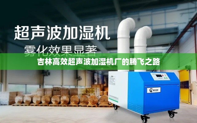 吉林高效超聲波加濕機(jī)廠的騰飛之路