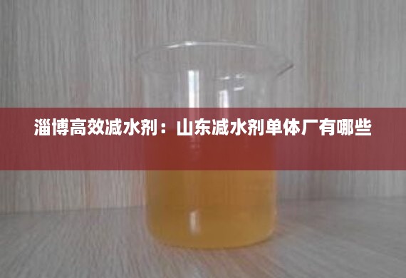淄博高效減水劑：山東減水劑單體廠有哪些 