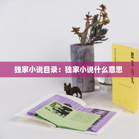 獨(dú)家小說(shuō)目錄：獨(dú)家小說(shuō)什么意思 