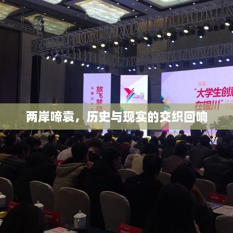 兩岸啼袁，歷史與現(xiàn)實的交織回響