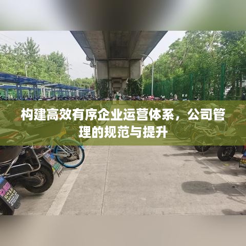 構(gòu)建高效有序企業(yè)運營體系，公司管理的規(guī)范與提升