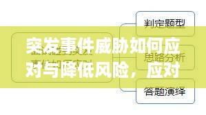 突發(fā)事件威脅如何應(yīng)對與降低風險，應(yīng)對策略全解析