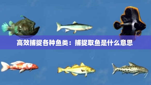 高效捕捉各種魚類：捕捉取魚是什么意思 