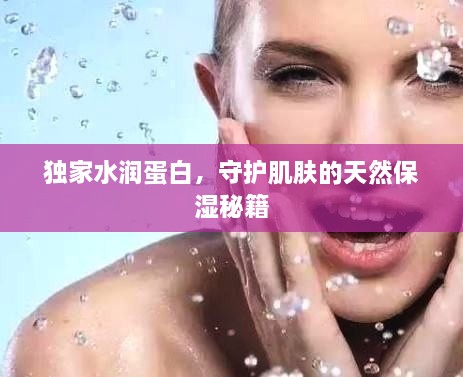 獨(dú)家水潤蛋白，守護(hù)肌膚的天然保濕秘籍