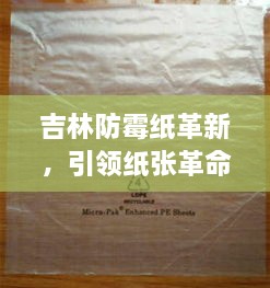 吉林防霉紙革新，引領(lǐng)紙張革命風潮