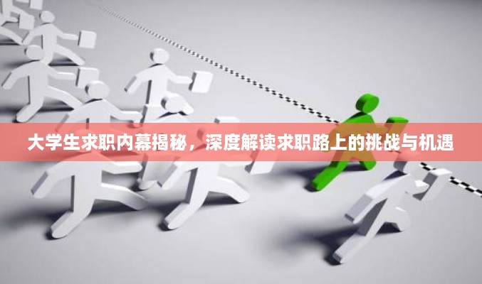 大學(xué)生求職內(nèi)幕揭秘，深度解讀求職路上的挑戰(zhàn)與機(jī)遇