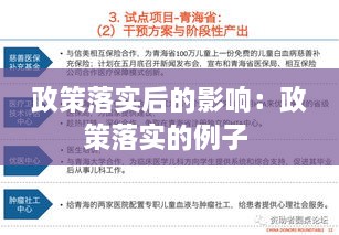政策落實后的影響：政策落實的例子 