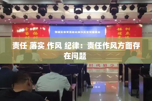 責(zé)任 落實(shí) 作風(fēng) 紀(jì)律：責(zé)任作風(fēng)方面存在問題 