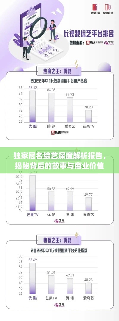 獨家冠名綜藝深度解析報告，揭秘背后的故事與商業(yè)價值