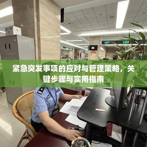 緊急突發(fā)事項的應(yīng)對與管理策略，關(guān)鍵步驟與實用指南