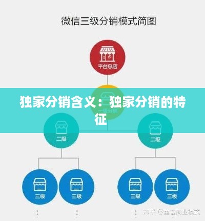 獨(dú)家分銷含義：獨(dú)家分銷的特征 