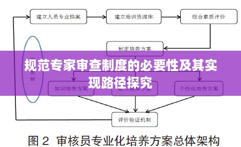 規(guī)范專家審查制度的必要性及其實(shí)現(xiàn)路徑探究