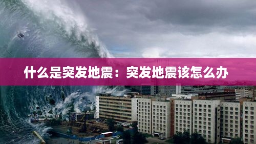 駕輕就熟