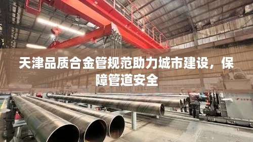 天津品質(zhì)合金管規(guī)范助力城市建設(shè)，保障管道安全