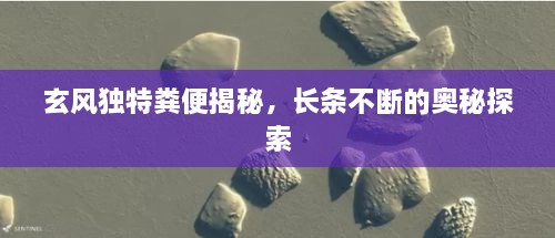 玄風(fēng)獨(dú)特糞便揭秘，長(zhǎng)條不斷的奧秘探索