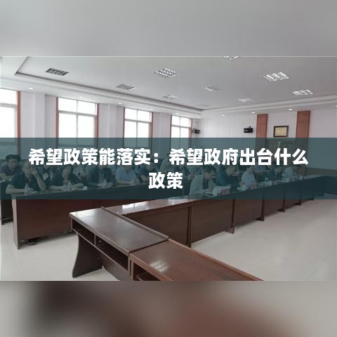 希望政策能落實：希望政府出臺什么政策 