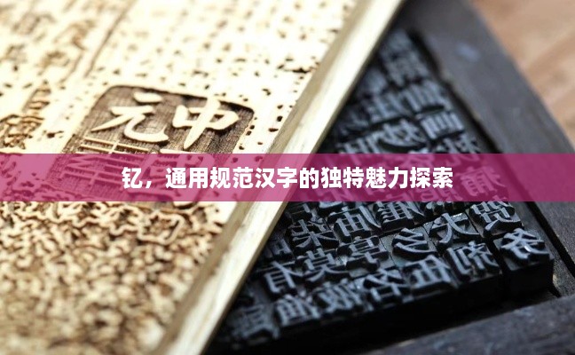 釔，通用規(guī)范漢字的獨特魅力探索