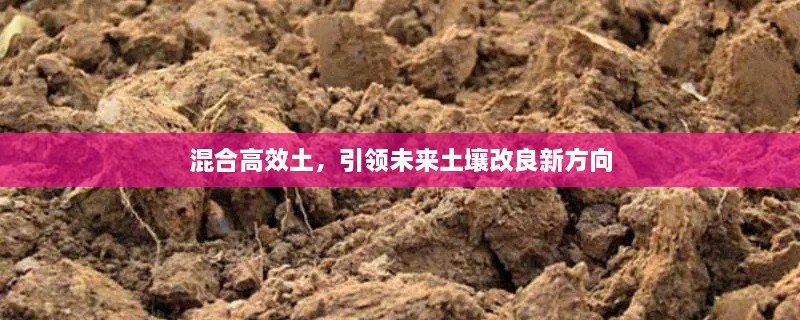 混合高效土，引領未來土壤改良新方向