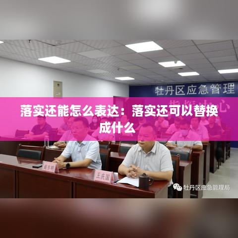落實(shí)還能怎么表達(dá)：落實(shí)還可以替換成什么 
