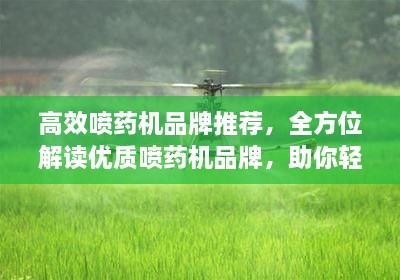 拾金不昧