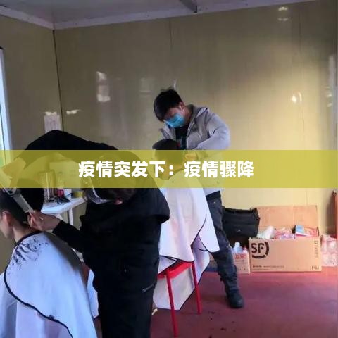 疫情突發(fā)下：疫情驟降 