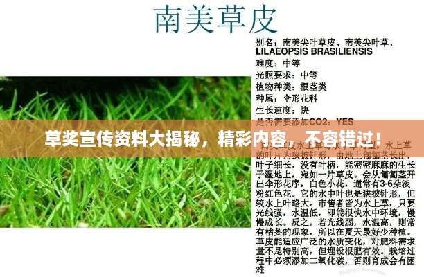 草獎宣傳資料大揭秘，精彩內(nèi)容，不容錯過！