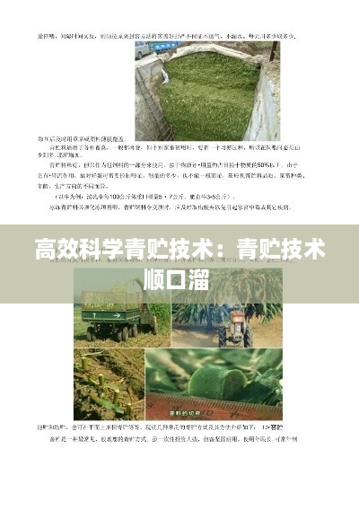 高效科學青貯技術(shù)：青貯技術(shù)順口溜 