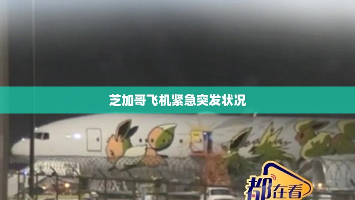 芝加哥飛機(jī)緊急突發(fā)狀況