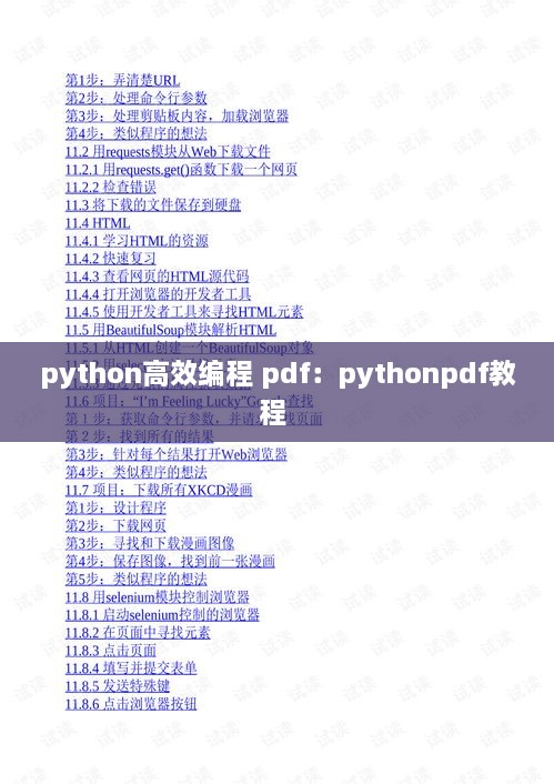python高效編程 pdf：pythonpdf教程 