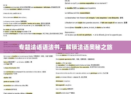 專題法語語法書，解鎖法語奧秘之旅