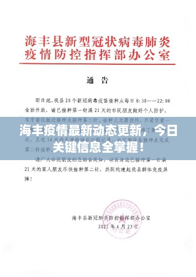 海豐疫情最新動態(tài)更新，今日關(guān)鍵信息全掌握！
