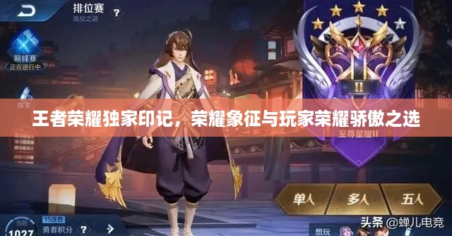 王者榮耀獨家印記，榮耀象征與玩家榮耀驕傲之選
